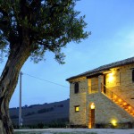 Fronte N 03
