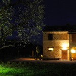 Fronte N 07